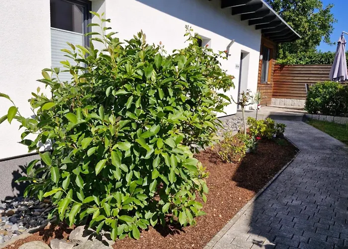 Glueck Auf Ruegen Appartement